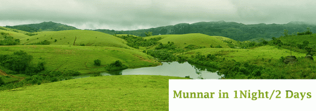 Ideal Itinerary for visiting Munnar , 1 Night / 2 Days